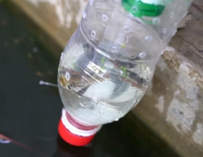Fiskeri med en plastikflaske