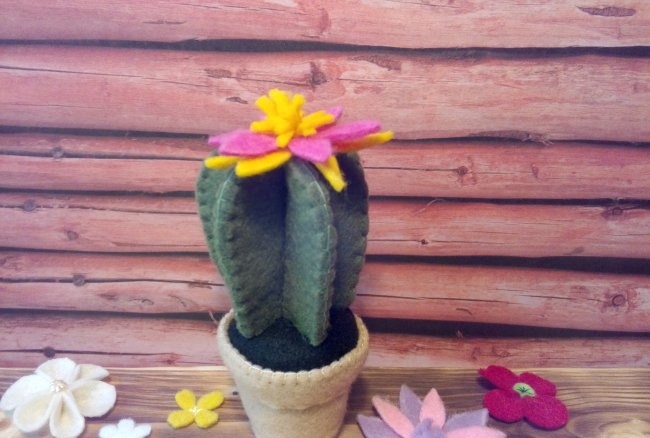 Plstěný kaktus v květináči
