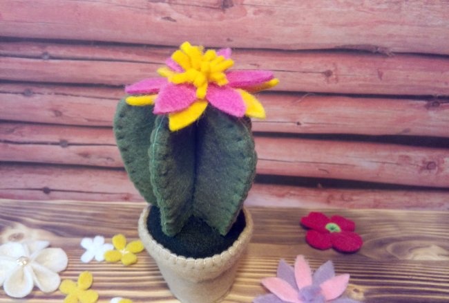 Vilten cactus in een pot
