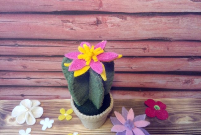 Cactus in feltro in un vaso