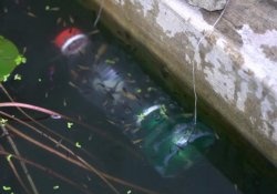 Łowienie ryb plastikową butelką