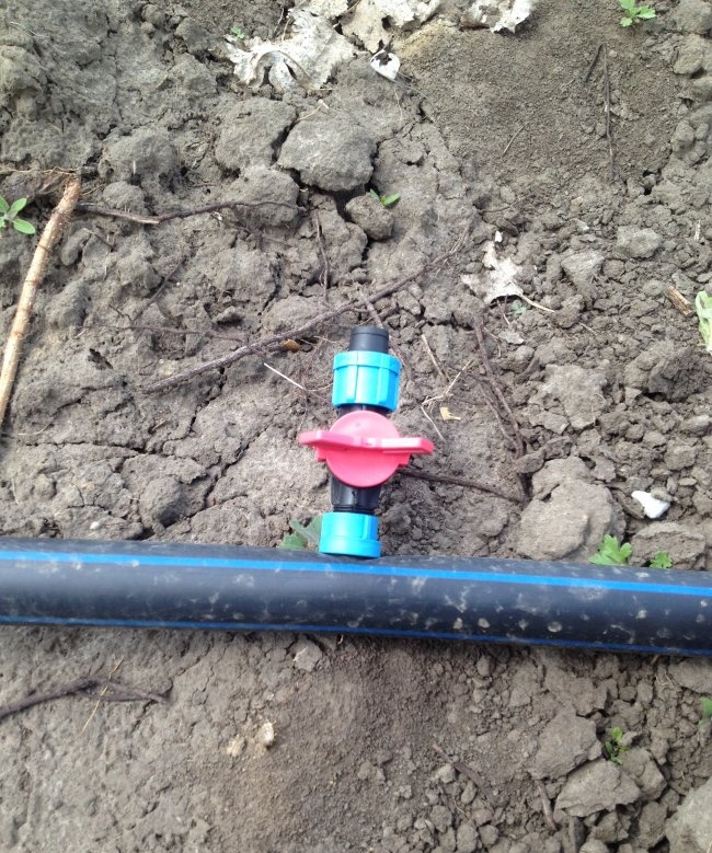 Criando um jardim com sistema de irrigação
