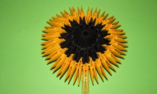 Floarea soarelui din hârtie