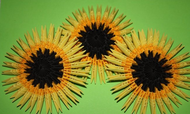 Bunga matahari kertas