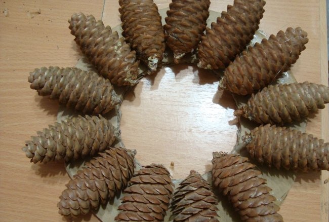 New Year's candlestick made of pine cones