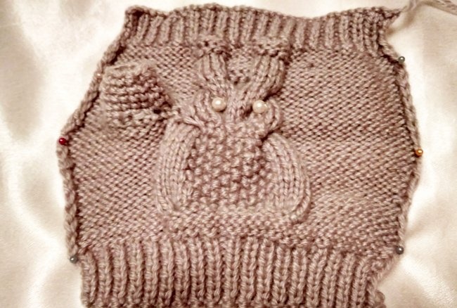Cum să tricotați mănuși cu un model de bufniță