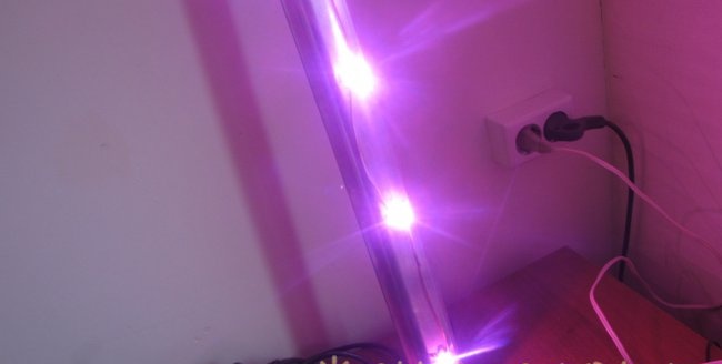 Phyto LED-lampa