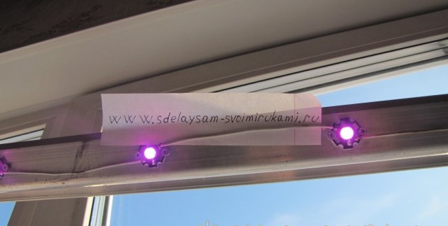 Phyto LED lámpa