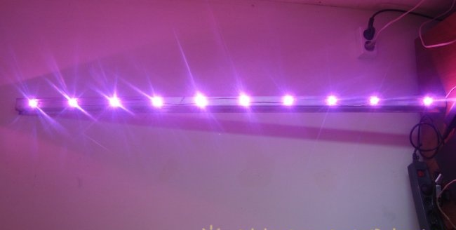 Phyto LED lampa