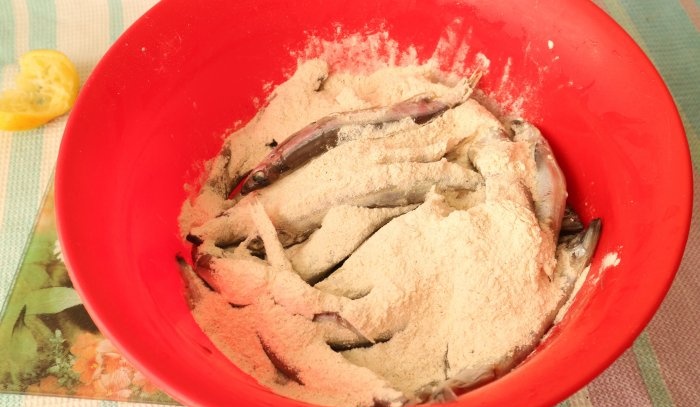 Jak rychle připravit levný a chutný rybí předkrm z huňáčka severního