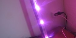 Mocna i niedroga lampa fito-LED
