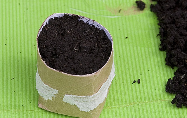 Minidrivhus for frøplanter