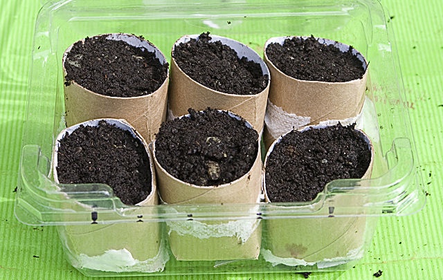 Mini greenhouse for seedlings