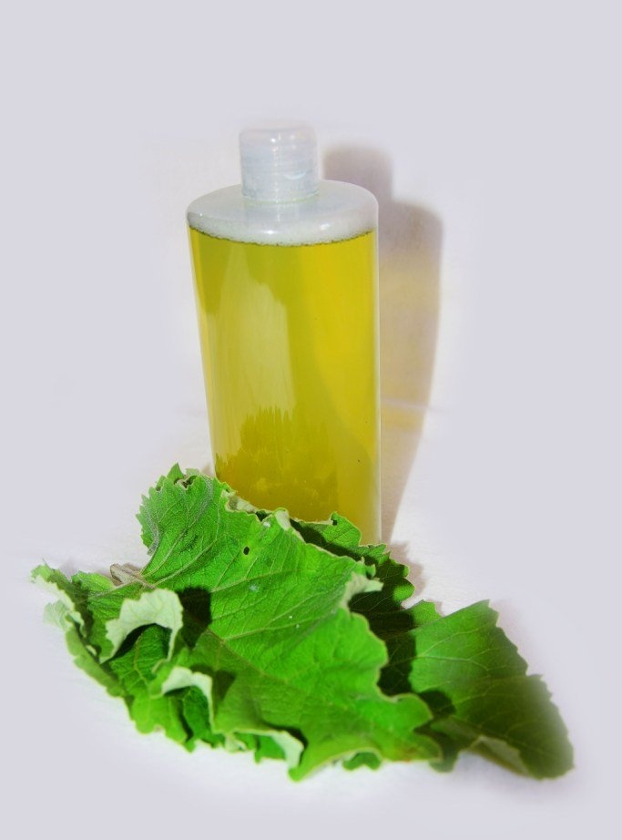 DIY burdock shampoo