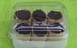 Mini greenhouse for seedlings