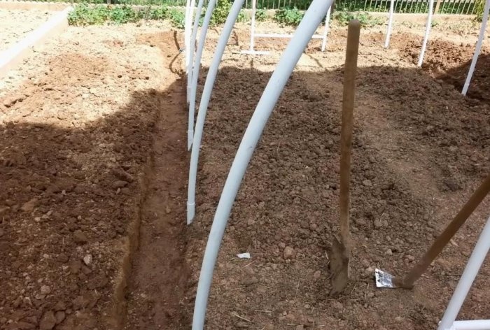 Un sencillo invernadero fabricado con tubos de PVC.