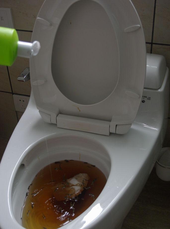 Cum să desfundați o toaletă înfundată fără piston