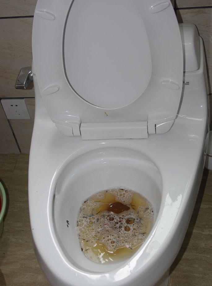 How to unclog a clogged toilet without a plunger