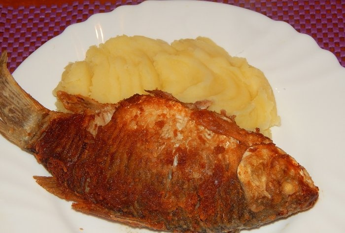 Recept på crucian karp