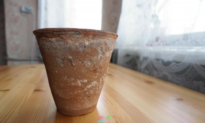 Comment renouveler un pot de fleur en argile