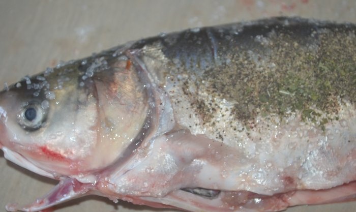 Ikan siakap utuh digoreng dalam kuali