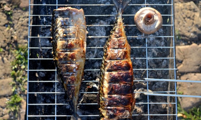 Mackerel sa grill