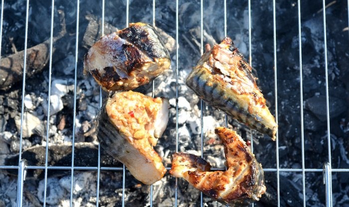 Mackerel pieces on the grill