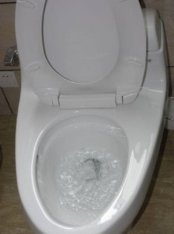 Hogyan távolítsuk el az eltömődött WC-t dugattyú nélkül