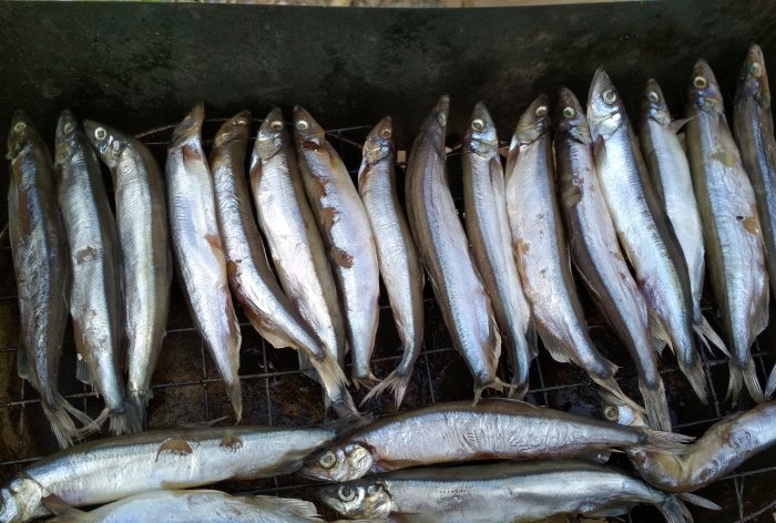 Merokok capelin di rumah