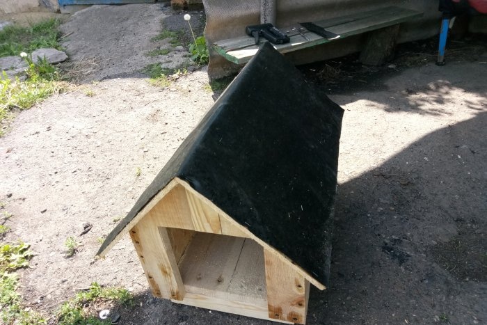 DIY dog house