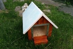 DIY köpek evi