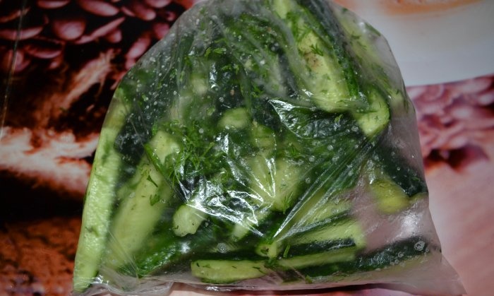 Bir torbada hafif tuzlu salatalıklar, hızlı ve kolay