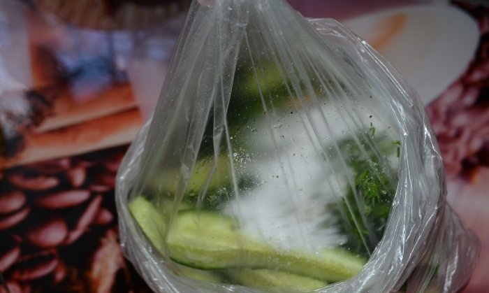 Bir torbada hafif tuzlu salatalıklar, hızlı ve kolay