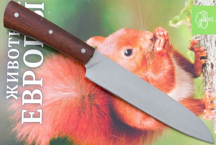 Affilare un coltello da cucina su una macchina fatta in casa