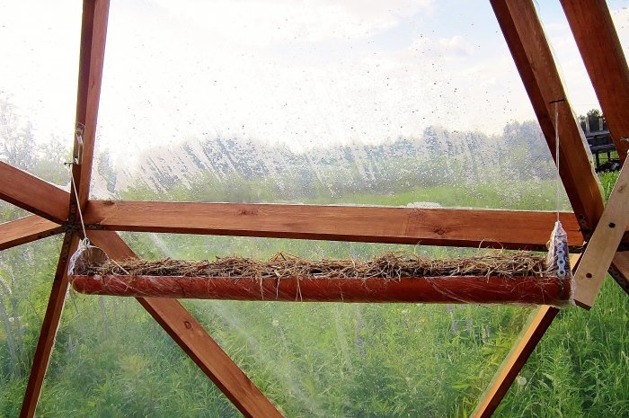 DIY hängande säng i ett växthus