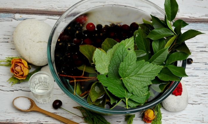 minuman keras ceri dan blackcurrant