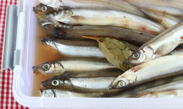 Maanghang na bahagyang inasnan na capelin