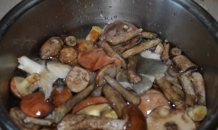Hogyan sütjük finoman az erdei gombát