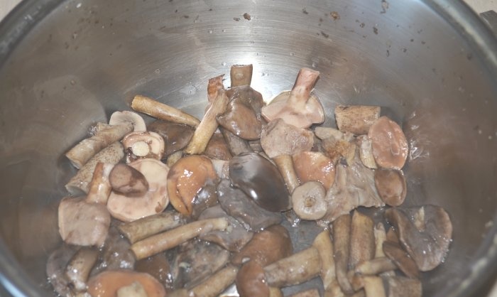 Hur man läcker steker vilda svampar