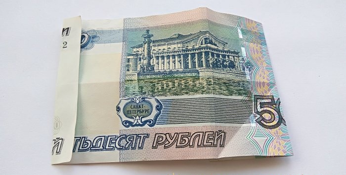 Bir banknottan domuz