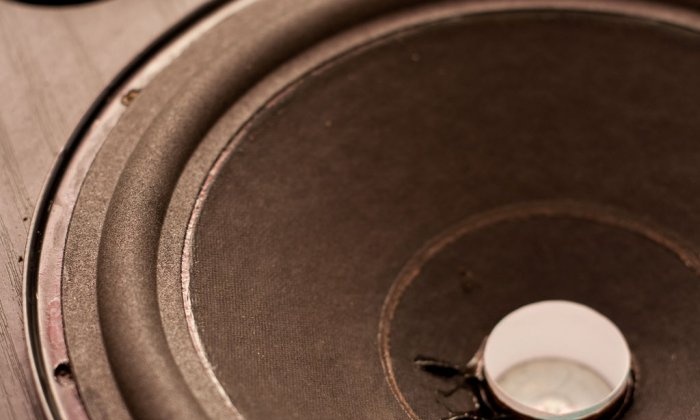 Repair and restoration of old speakers