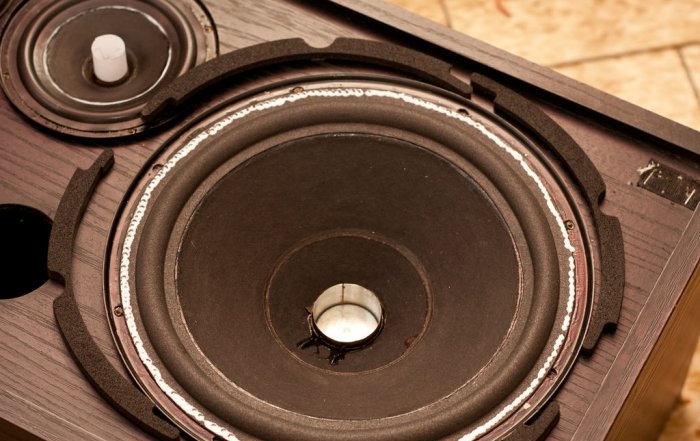 Repair and restoration of old speakers