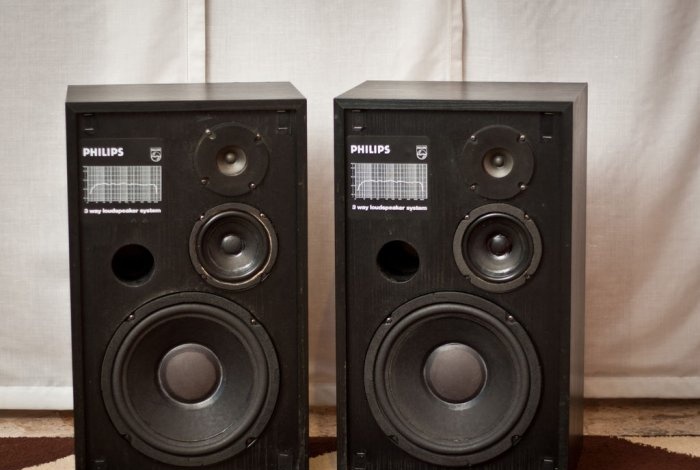 Repair and restoration of old speakers