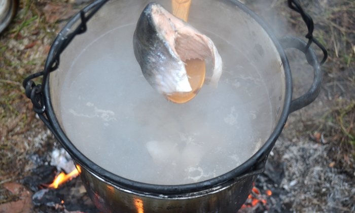 Pstruhová polievka na ohni