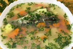 Cum să gătești delicios supă de pește caras