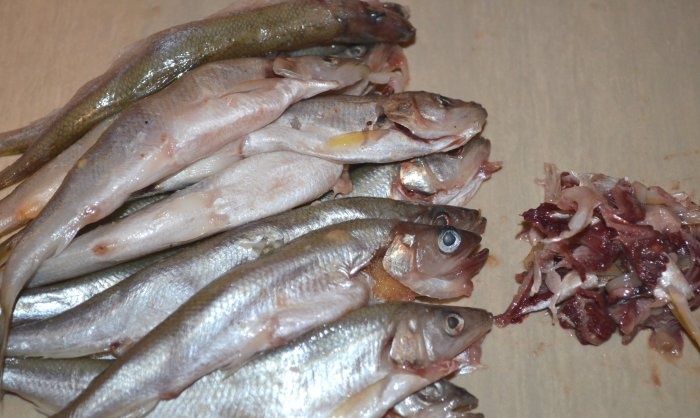 Comment faire frire du poisson éperlan rapidement et savoureux