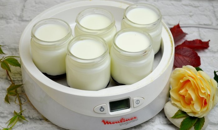 Házi készítésű termosztatikus joghurt