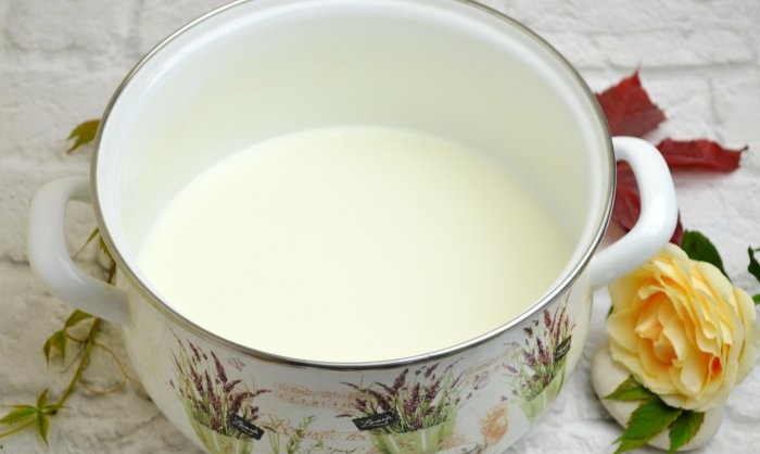 Hausgemachter thermostatischer Joghurt