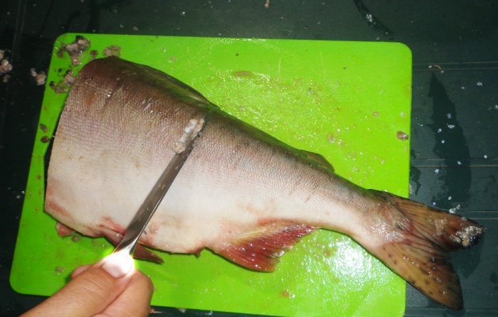 سمك السلمون الوردي المملح قليلاً - وصفة التمليح خطوة بخطوة