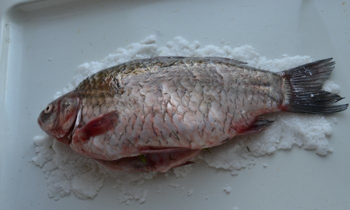 Crucian carp baked in salt